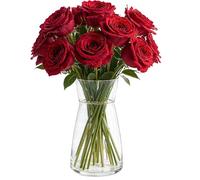Vases, Vase Flowers Glass, Ledoir 20cm 8 Inch Tall Modern Essentials 1L Clear Modern Living Room Round Flower Jug Pampas Decor Simplistic Gifting Flowera Tulip Rose