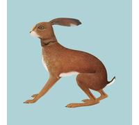 Vashti Bunyan Lookaftering 20th Anniversary 2LP Expanded Edition [New & Sealed]