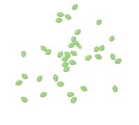 Vasiumic Oval Shaped Luminous Glow Fishing Beads 100 Pcs Set - Floating Lure Tackles for Freshwater Saltwater Fishing, 3x4mm 6x8mm 8x12mm Assorted Sizes(菱3X4mm)