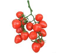 Vasiumic Realistic Plastic For Cherry Tomatoes Set of 16 Fake Vegetables for Kitchen Home Décor Party Photography School Teaching Props, Lifelike Red and Yellow Decorative Fruit with(Red)