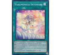 VASM-EN038 Vaalmonica Intonare