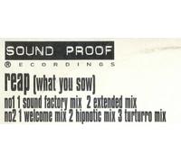 Vasquez, Junior - Reap What You Sow [12" VINYL]