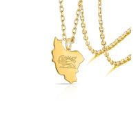 VASSAGO Iran Map Necklace Stainless Steel Lion and Sun Persian Flag Pendant Necklace Iranian Persian Jewelry (Gold 3)