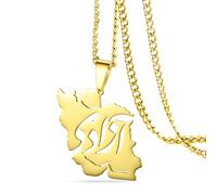 VASSAGO Iran Map Necklace with Peace Dove/Embrace/Flag Color CZ Stainless Steel Iranian Patriotic Pendant Persian Jewelry Gift for Women Men (gold 7)
