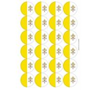 Vatican City Holy See Flag Circular Matt Paper Stickers A4 Sheet of 24 (Each Sticker is 45mm Diameter)