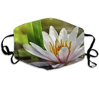 Vaughan, Sarah - Sarah Vaughan a Paris