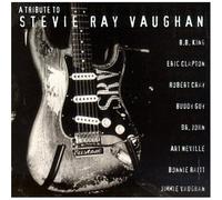 Vaughan Stevie Ray - A Tribute To Stevie Ray Vaughan [VHS]