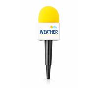 Vaulted Skulls & Co Microphone Reporter Mic Prop | Fake Foam Microphone Props | Journalist Costume Accessory | Non-Functioning Microphones, Yellow - Weather, One size