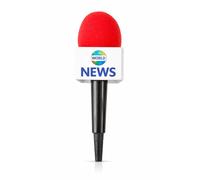 Vaulted Skulls & Co Microphone Reporter Mic Prop | Fake Foam Microphone Props | Journalist Costume Accessory | Non-Functioning Microphones, Red - News, One size