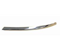 PRASCO OP4181273 Trim / Protective Strip Set, bumper
