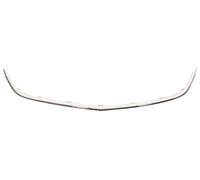 PRASCO OP4162305 Frame, radiator grille