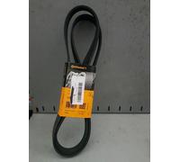 Vauxhall Fits Nissan Opel Renault V-RIBBED BELTS OEM Contitech 93161812 93161812