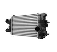 NISSENS 96197 Intercooler