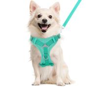 VavoPaw Cat Harness and Leash Set for Walking, Adjustable Kitten Vest Harness with Reflective Strip Breathable Mesh, Escape Proof Soft Pet Safety Vest for Cats, Kittens, Puppies, L, Lake Blue