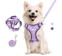 VavoPaw Cat Harness and Leash Set for Walking, Adjustable Kitten Vest Harness with Reflective Strip Breathable Mesh, Escape Proof Soft Pet Safety Vest for Cats, Kittens, Puppies, L, Light Purple