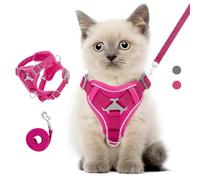 VavoPaw Cat Harness and Leash Set for Walking, Adjustable Kitten Vest Harness with Reflective Strip Breathable Mesh, Escape Proof Soft Pet Safety Vest for Cats, Kittens, Puppies, S, Magenta
