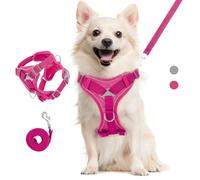 VavoPaw Cat Harness and Leash Set for Walking, Adjustable Kitten Vest Harness with Reflective Strip Breathable Mesh, Escape Proof Soft Pet Safety Vest for Cats, Kittens, Puppies, L, Magenta