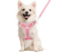 VavoPaw Cat Harness and Leash Set for Walking, Adjustable Kitten Vest Harness with Reflective Strip Breathable Mesh, Escape Proof Soft Pet Safety Vest for Cats, Kittens, Puppies, L, Pink