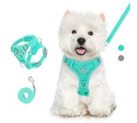 VavoPaw Cat Harness and Leash Set for Walking, Adjustable Kitten Vest Harness with Reflective Strip Breathable Mesh, Escape Proof Soft Pet Safety Vest for Cats, Kittens, Puppies, XL, Lake Blue