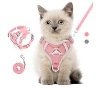VavoPaw Cat Harness and Leash Set for Walking, Adjustable Kitten Vest Harness with Reflective Strip Breathable Mesh, Escape Proof Soft Pet Safety Vest for Cats, Kittens, Puppies, S, Pink