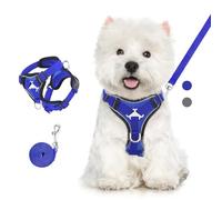 VavoPaw Cat Harness and Leash Set for Walking, Adjustable Kitten Vest Harness with Reflective Strip Breathable Mesh, Escape Proof Soft Pet Safety Vest for Cats, Kittens, Puppies, L, Royal Blue