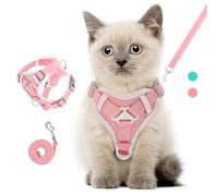 VavoPaw Cat Harness and Leash Set for Walking, Adjustable Kitten Vest Harness with Reflective Strip Breathable Mesh, Escape Proof Soft Pet Safety Vest for Cats, Kittens, Puppies, XS, Pink