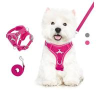 VavoPaw Cat Harness and Leash Set for Walking, Adjustable Kitten Vest Harness with Reflective Strip Breathable Mesh, Escape Proof Soft Pet Safety Vest for Cats, Kittens, Puppies, XL, Magenta