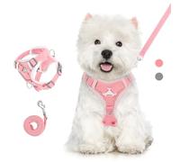 VavoPaw Cat Harness and Leash Set for Walking, Adjustable Kitten Vest Harness with Reflective Strip Breathable Mesh, Escape Proof Soft Pet Safety Vest for Cats, Kittens, Puppies, XL, Pink