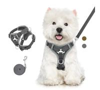 VavoPaw Cat Harness and Leash Set for Walking, Adjustable Kitten Vest Harness with Reflective Strip Breathable Mesh, Escape Proof Soft Pet Safety Vest for Cats, Kittens, Puppies, L, Dark Gray