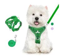 VavoPaw Cat Harness and Leash Set for Walking, Adjustable Kitten Vest Harness with Reflective Strip Breathable Mesh, Escape Proof Soft Pet Safety Vest for Cats, Kittens, Puppies, L, Medium Green