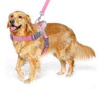 VavoPaw Dog Harness and Leash Set, No Pull Dog Harness for Easy Walking and Training, Adjustable Dog Vest Harness with Reflective Magic Tapes, Escape Proof Grip Harness for Large Dogs, Puppies, M Pink
