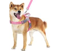VavoPaw Dog Harness and Leash Set, No Pull Dog Harnesses for Easy Walking & Training, Adjustable Pet Vest Harness with Reflective Magic Tape, Escape Proof Grip Harnesses for Small Dogs Puppies, S Pink
