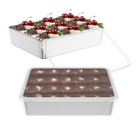 VAVPUP 2Pcs Stainless Steel Trays with Plastic Lids,Stackable Rolled Edges and Rounded Corners Deep Sides Avoid Spills,Grilling Meat,Vegetables,Baking Bread,Salads 28.5x22.5x6.5 cm(2PCS-Silver)