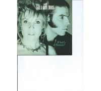 Vaya Con Dios - WHAT'S A WOMAN? / FAR GONE NOW