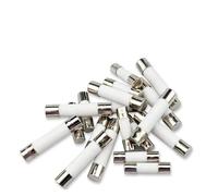 VAYEODEYU Ceramic Fuses, Fast Blow Ceramic Tube Fuses 5x20mm And 6x30mm 0.1A To 30A 250V Pack Of 10(1.5a,5X20MM-20PCS)