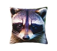 Vbcxza Cute Raccoon Print Throw Pillow Cover - Decorative Pillow Case For Couch, Sofa And Bed In Various Sizes