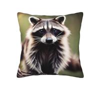 Vbcxza Cute Raccoon Print Throw Pillow Cover - Decorative Pillow Case For Couch, Sofa And Bed In Various Sizes