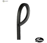 GATES AV17x1575HD V-Belt