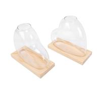 VBESTLIFE Modern Desktop Glass Planter Set, 2PCS Propagation Vases with Wooden Base, Effortless Growth for Indoor Plants, Counter/Windowsill Decoration (Light Brown)