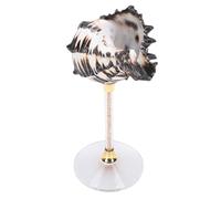 VBESTLIFE Seashell Conch Cup, Elegant Seashell Goblet Design for Cold Drinks, with Distinct Color Patterns for Table Decoration (Black)