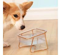 VBESTLIFE Transparent Slanting Mouth Raised Cat Food Water Bowl 15 Degree Tilt Stable Elevated Pet Bowls for Cats Dogs with Non Slip Pads (Wrought Iron Single Bowl)