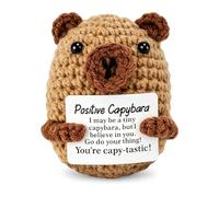 VBGURR Positive Capybara Gifts, Handmade Crochet Emotional Support Animal