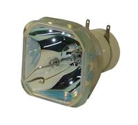 VBHGUYC POA-LMP141 Projector Lamp Fit for SANYO PLC-WL2500 PLC-WL2500A PLC-WL2503A PANASONIC PT-TW230W PT-TW231R(Original Bulb)