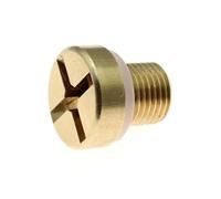 VBPBHFFNMW Coolant Radiator Hose Bleed Vent Screw Plug Bleeding Fit For BMW 3 Series E30 E36 E46 Mini Cooling System Brass Screw 17110141325 Auto Radiator Parts