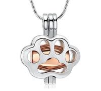 VCCWYQK Paw Print Urn Necklace for Ashes Cremation Jewelry Memorial Locket Urn Necklace Keepsake for Pet Human, One Size, Stainless Steel, No Gemstone