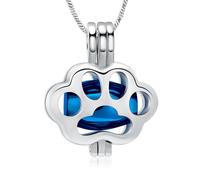 VCCWYQK Paw Print Urn Necklace for Ashes Cremation Jewelry Memorial Locket Urn Necklace Keepsake for Pet Human, One Size, Stainless Steel, No Gemstone