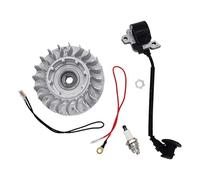 VCDXZCO for S-t-i-h-l MS 660 066 1122 400 1217 High-Voltage Bag Flywheel Ignition Module Aluminum As Shown are Suitable