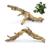 VCEPJH 2 Pack Reptile Wood Branches, Snake Climbing Branch Natural Bearded Dragon Log Tank Accessories Tree Trunk for Chameleon Gecko Snake Frog Spider