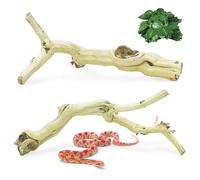 VCEPJH Snake Climbing Branch 3PCS Reptile Wood Natural Cork Log Terrarium Decor Bearded Dragon Tank Accessories Tree Trunk for Chameleon Gecko Ball Python Frog Panlong Wood (11.8-15.7in)