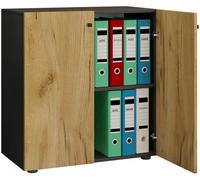 Vcm Office Cabinet File Cabinet Lona 2-Fold